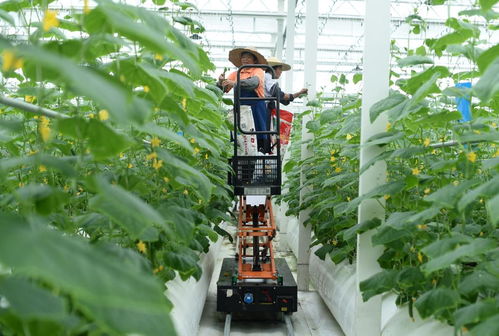 新华网长三角频道 解码旅游业务新生态，赋能区域文旅高质量发展